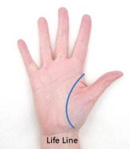 lifeline illustrated on the palm of the right hand
